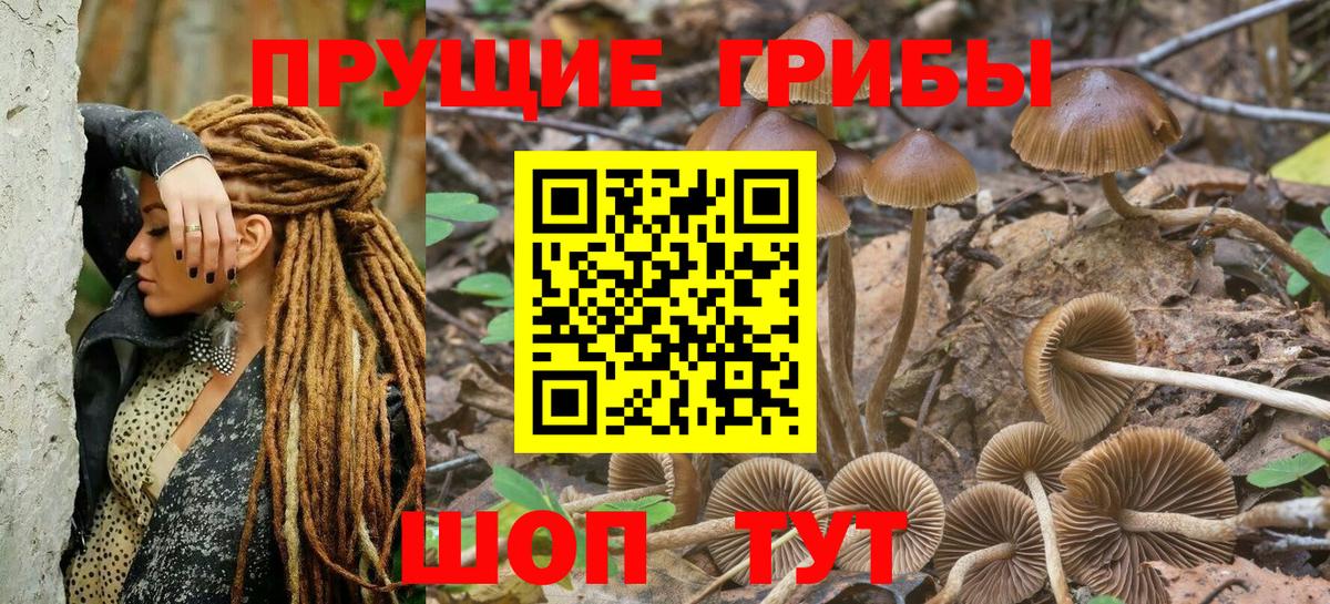 Псилоцибиновые грибы Magic Shrooms  Вход с VPN  наркотики  Красноярск 